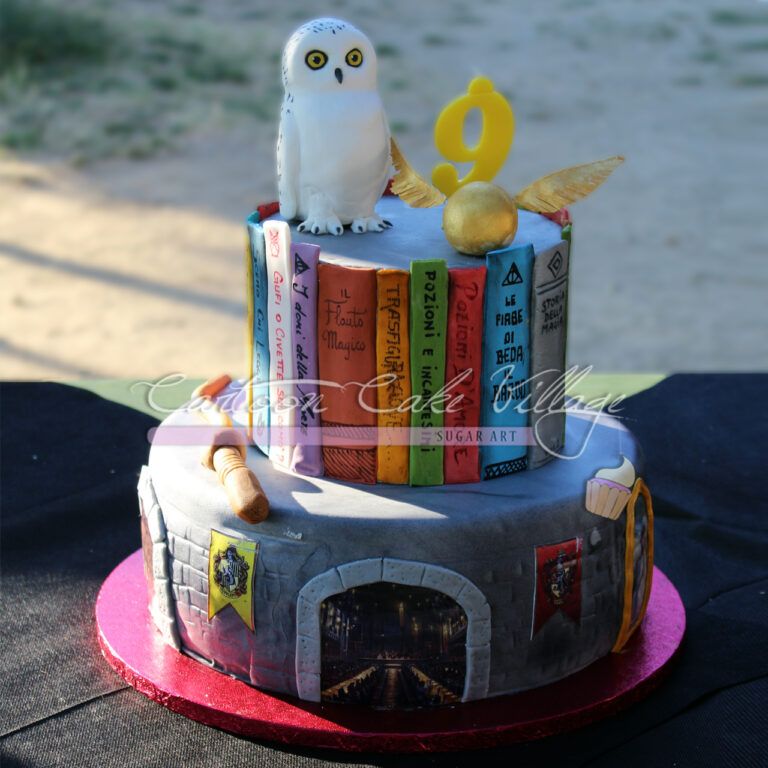 Harry Potter cake Edwige libri